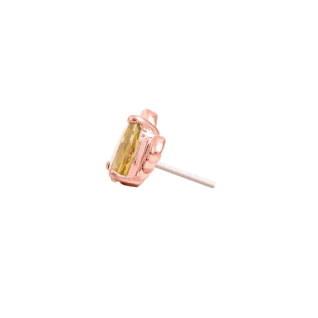 BAT WITH CHAMPAGNE CZ - THREADLESS END *PRE-ORDER* Junipurr Jewelry