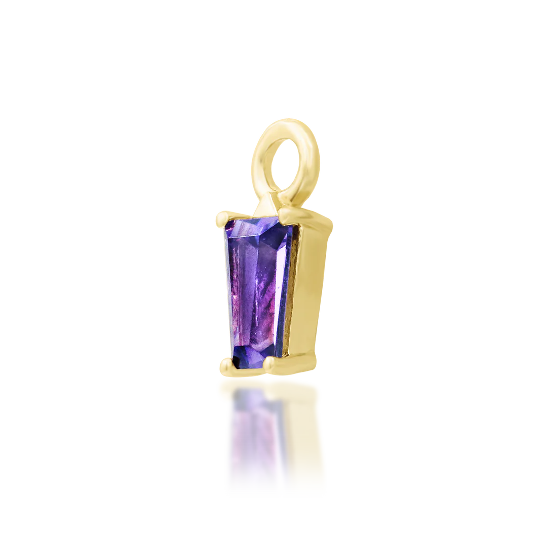 AMATISTA + AMETHYST - CHARM *PRE-ORDER* Junipurr Jewelry