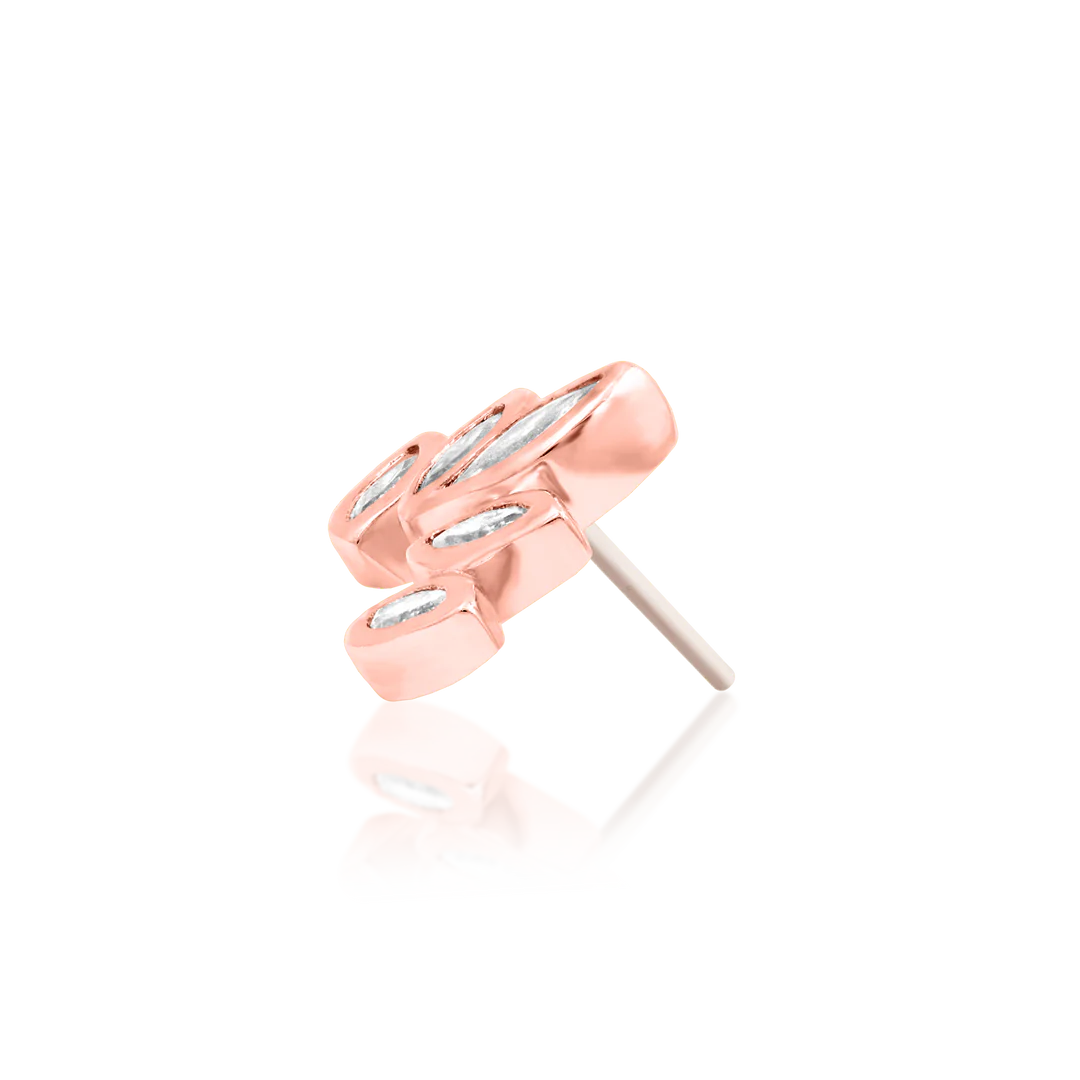 HAVANA - THREADLESS END *PRE-ORDER* Junipurr Jewelry