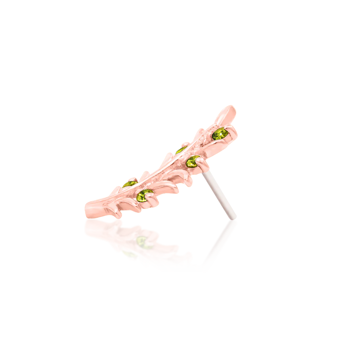 OLIVE BRANCH - THREADLESS END *PRE-ORDER* Junipurr Jewelry