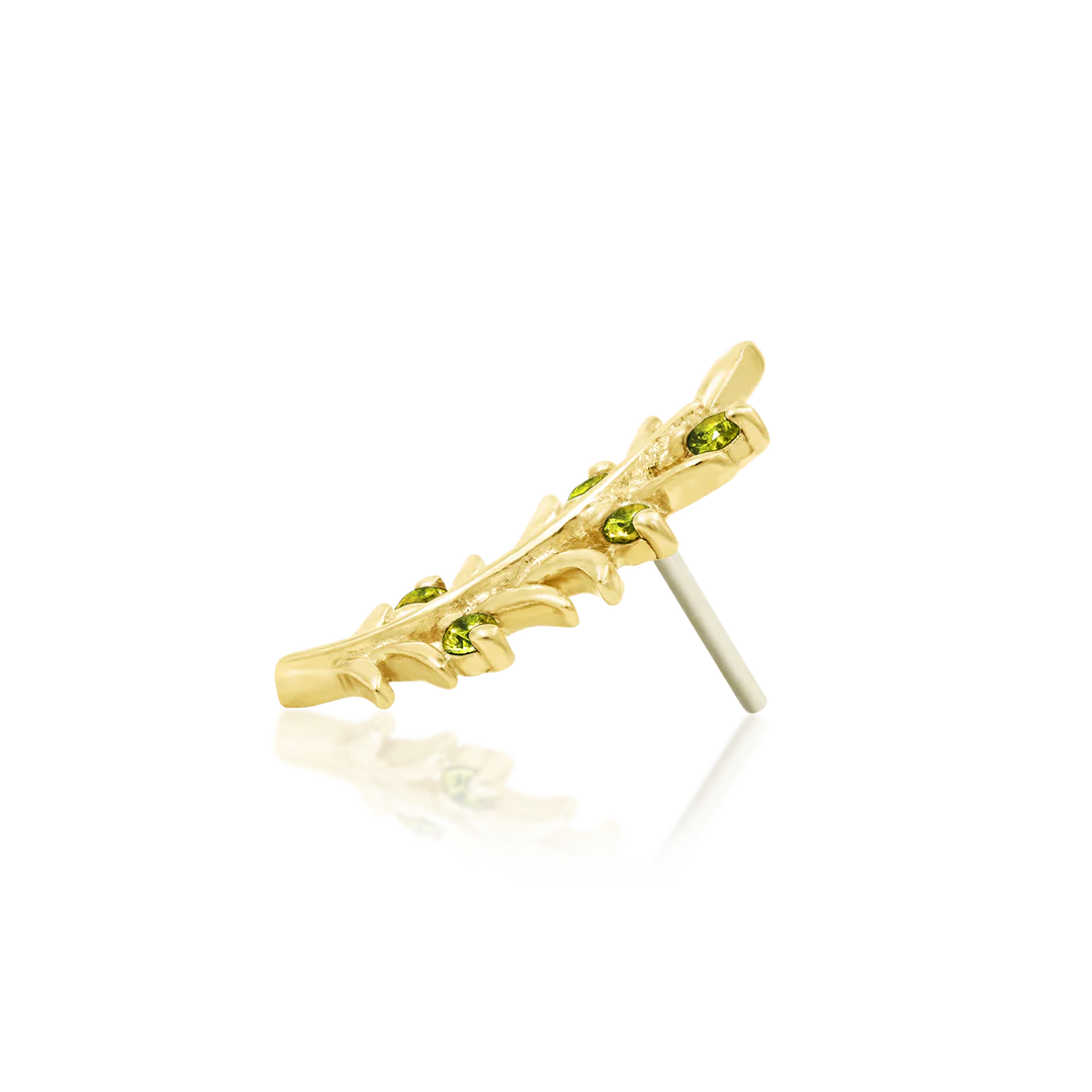 OLIVE BRANCH - THREADLESS END *PRE-ORDER* Junipurr Jewelry